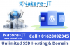 Unlimited SSD Hosting & Domain